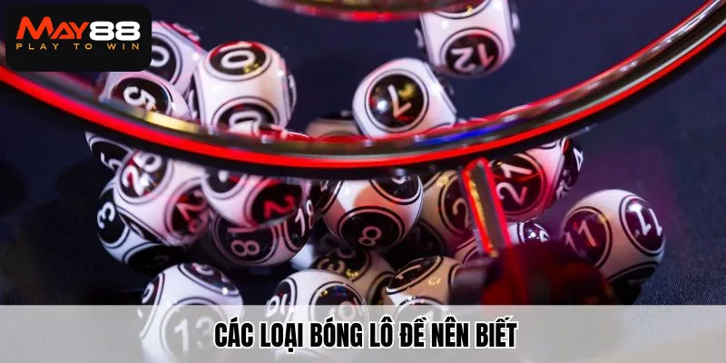 Các loại bóng lô đề nên biết